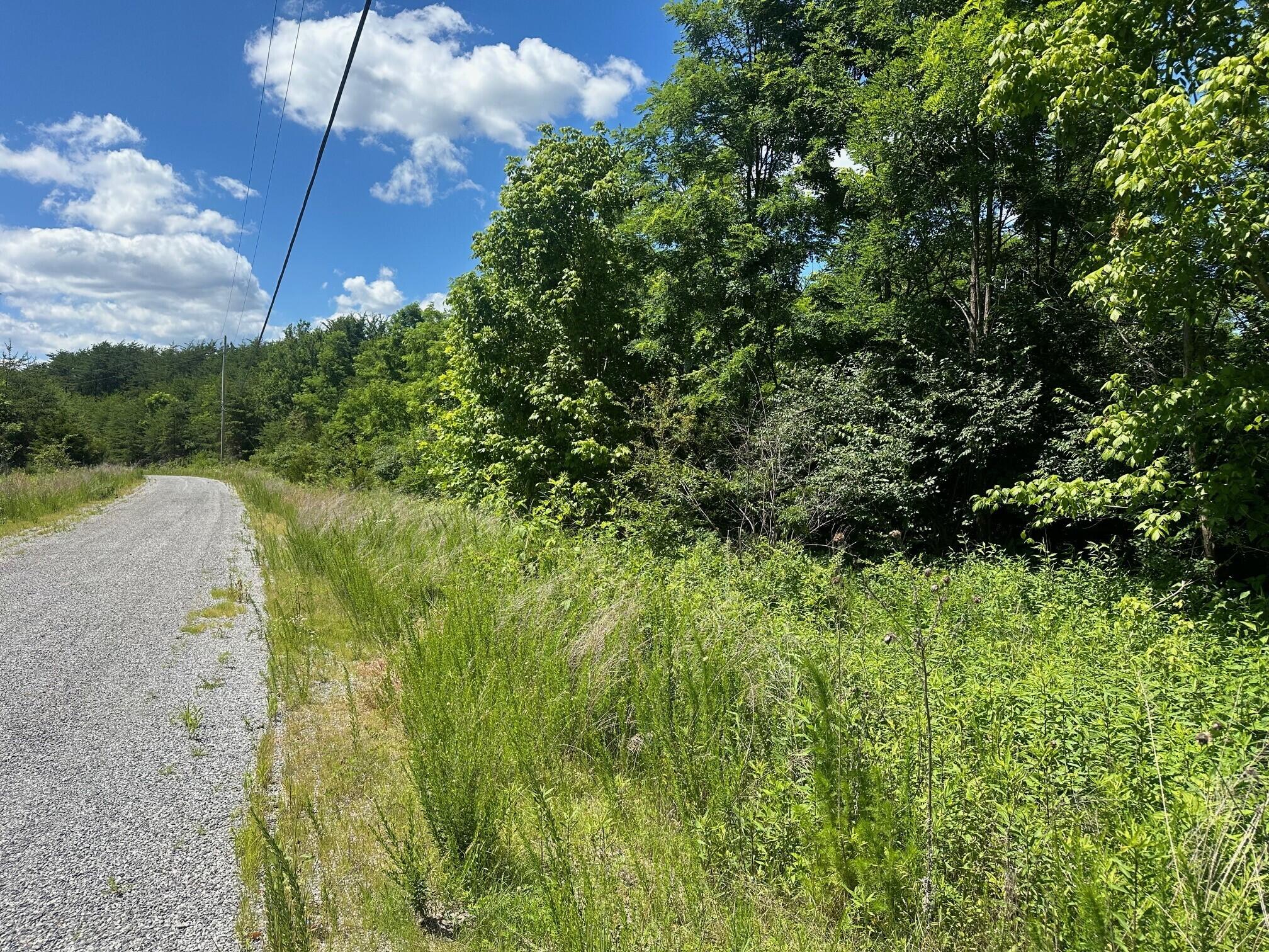 Lot 172 Sulee Circle, Unit 172 Guild, TN 37340 - Photo 4 of 6 3