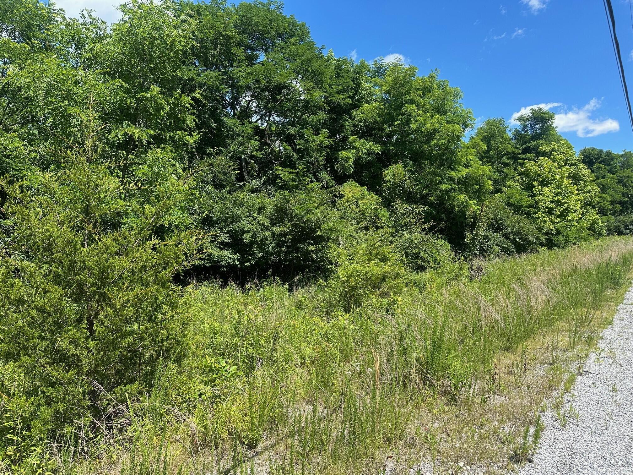 Lot 172 Sulee Circle, Unit 172 Guild, TN 37340 - Photo 6 of 6 6