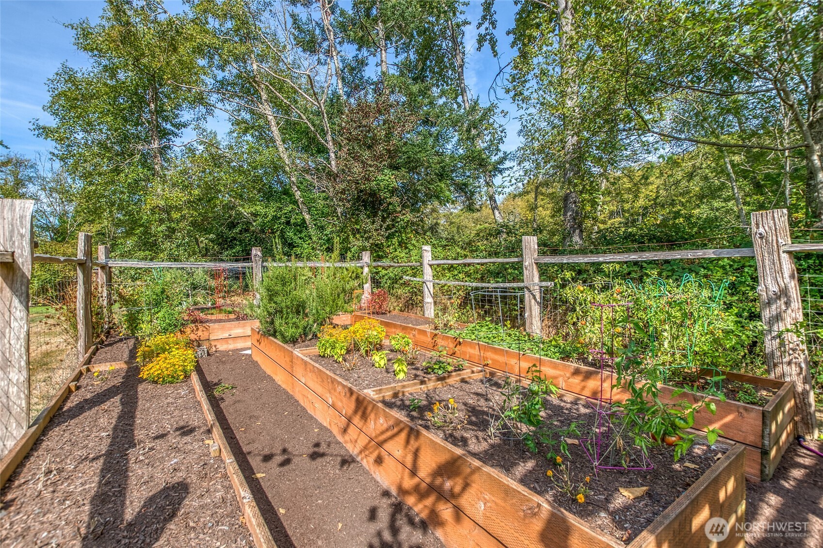 2822 Enchanted Forest Road Orcas Island, WA 98245 - Photo 23 of 40 Gallery Image 23