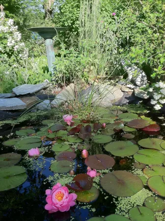 $1,265,000 | 181 School Street, Cotuit, MA 02635