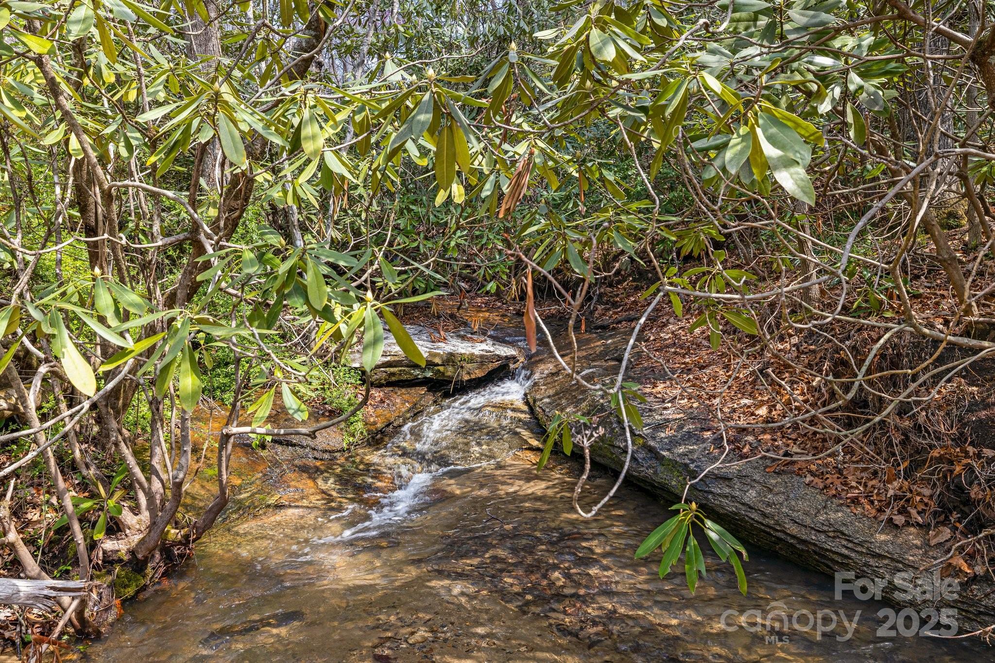336-351 Colony Road Hendersonville, NC 28792 - Photo 39 of 41 Gallery Image 39