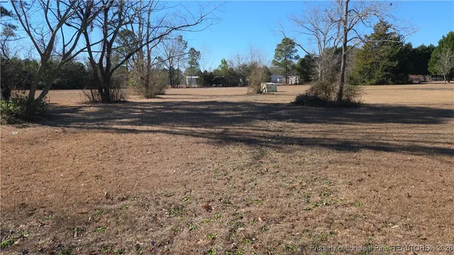 a view of road with large trees