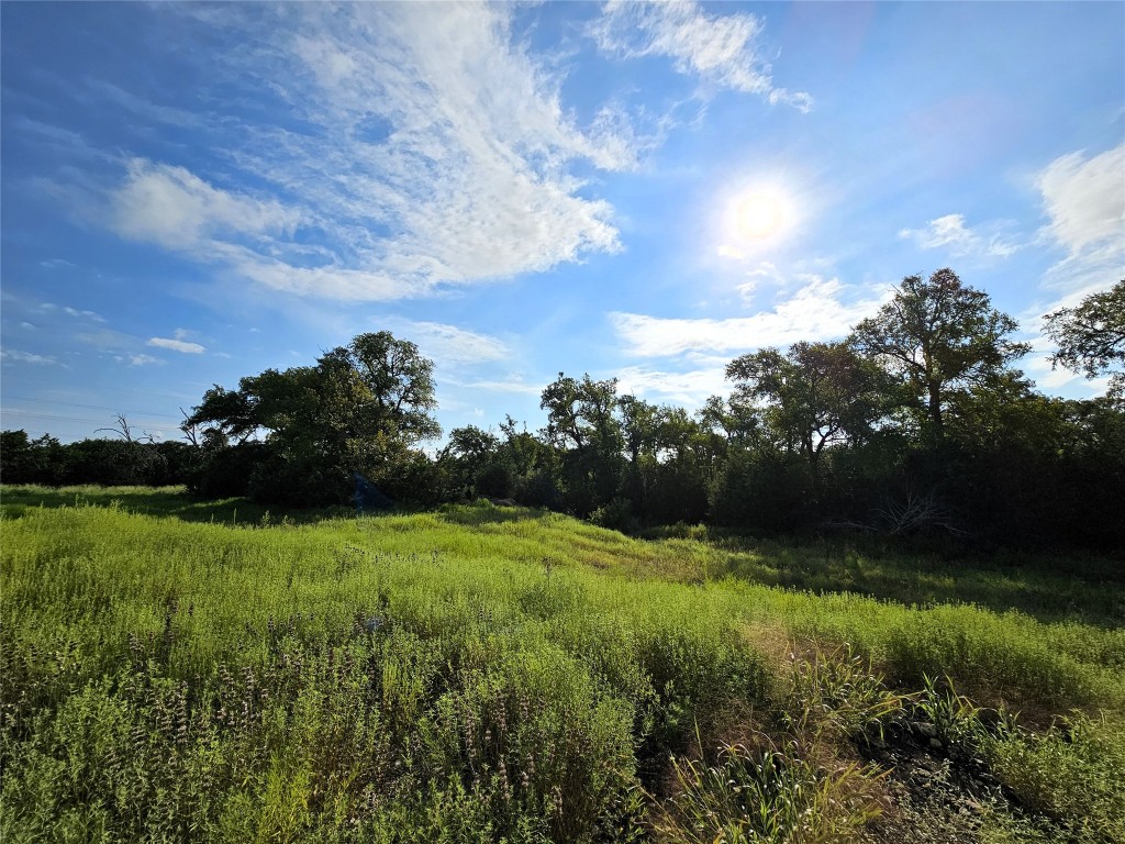 Lot 25 Riparian Elm Road Bertram, TX 78605 - Photo 10 of 21