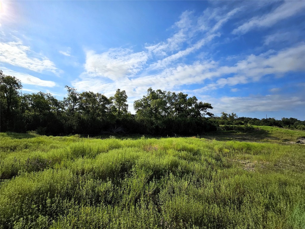 Lot 25 Riparian Elm Road Bertram, TX 78605 - Photo 11 of 21