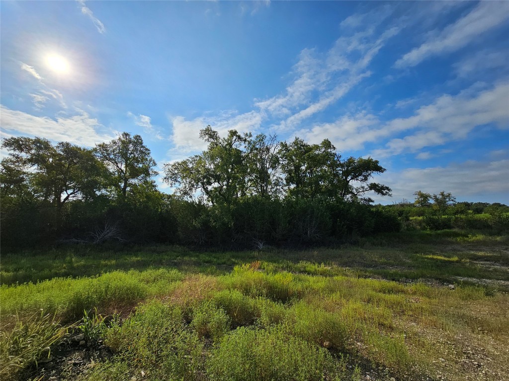 Lot 25 Riparian Elm Road Bertram, TX 78605 - Photo 12 of 21