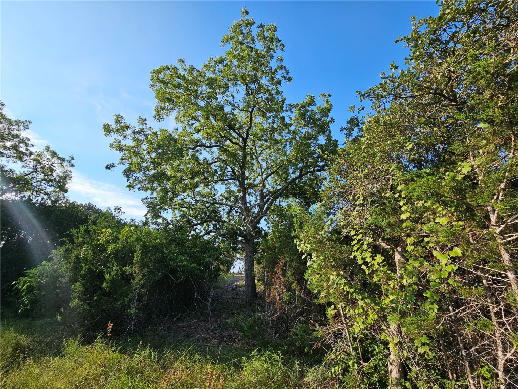 Lot 25 Riparian Elm Road Bertram, TX 78605 - Photo 13 of 21
