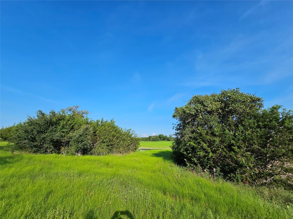 Lot 25 Riparian Elm Road Bertram, TX 78605 - Photo 14 of 21