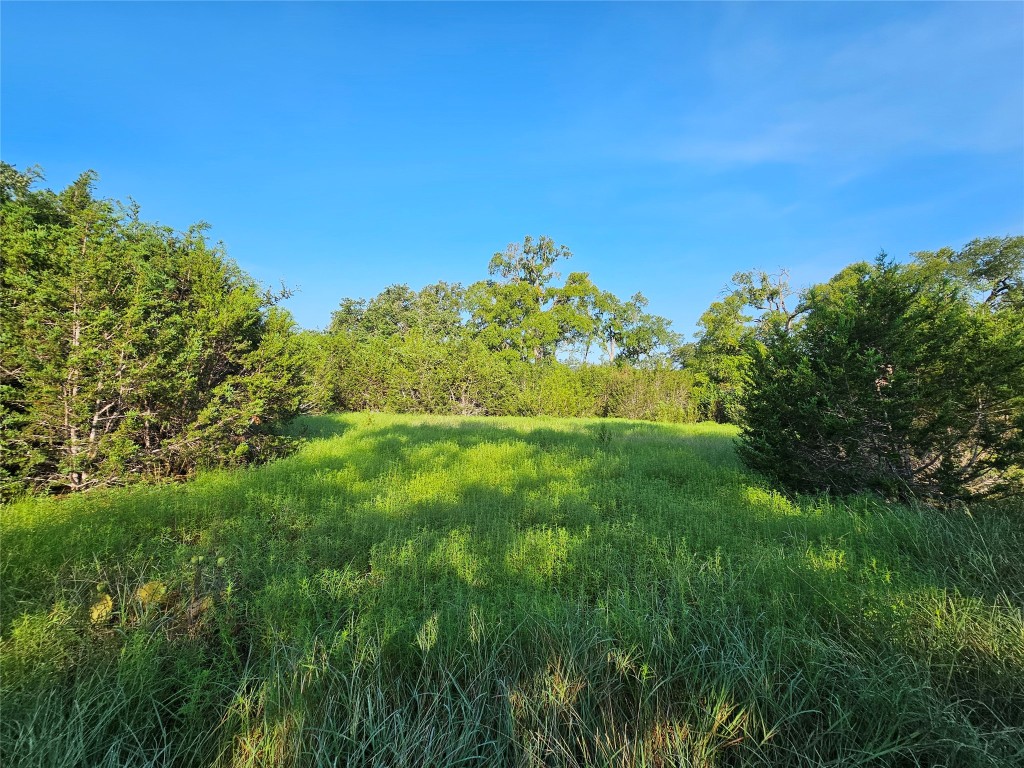 Lot 25 Riparian Elm Road Bertram, TX 78605 - Photo 15 of 21