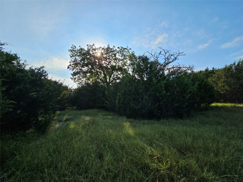 Lot 25 Riparian Elm Road Bertram, TX 78605 - Photo 16 of 21
