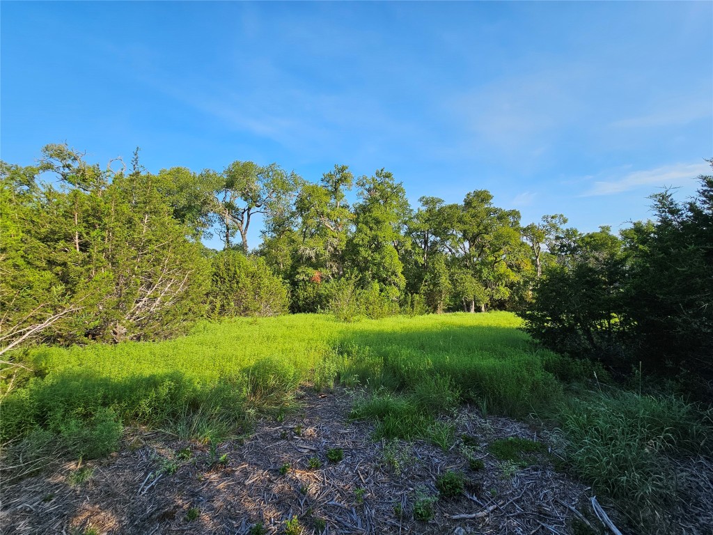 Lot 25 Riparian Elm Road Bertram, TX 78605 - Photo 17 of 21