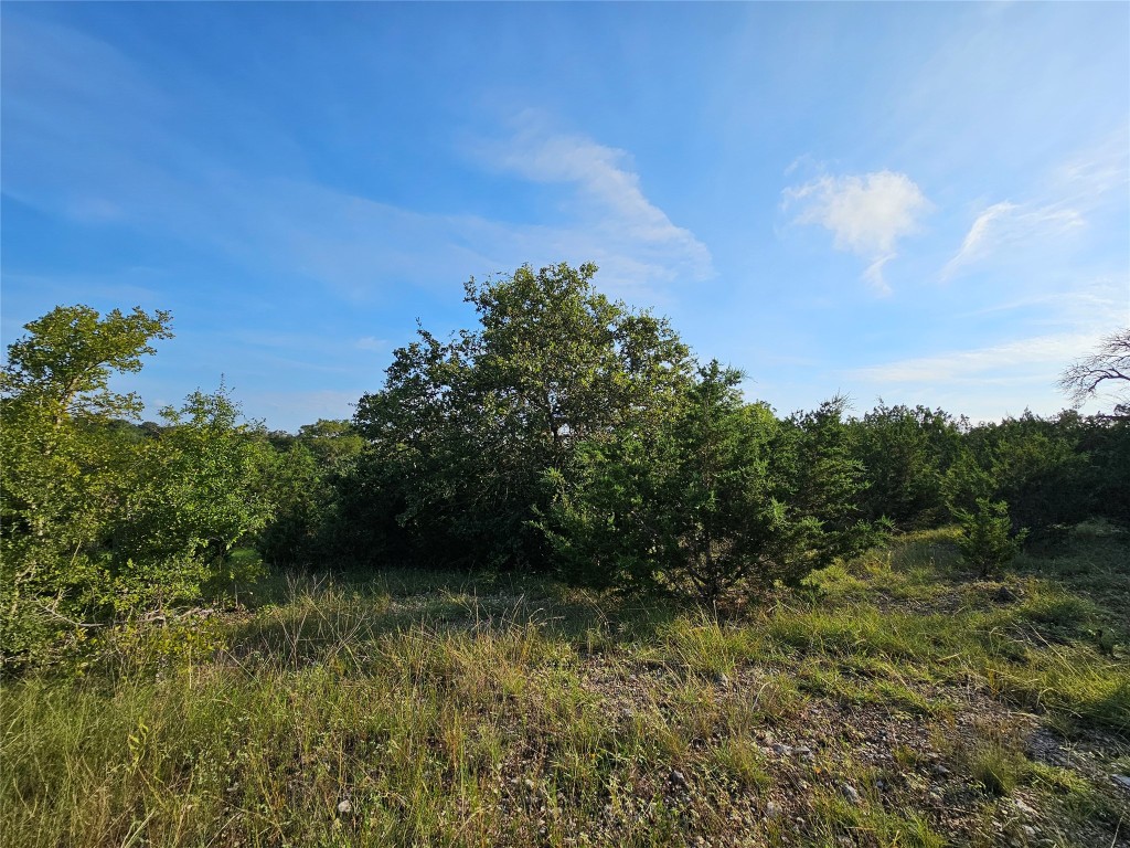 Lot 25 Riparian Elm Road Bertram, TX 78605 - Photo 19 of 21