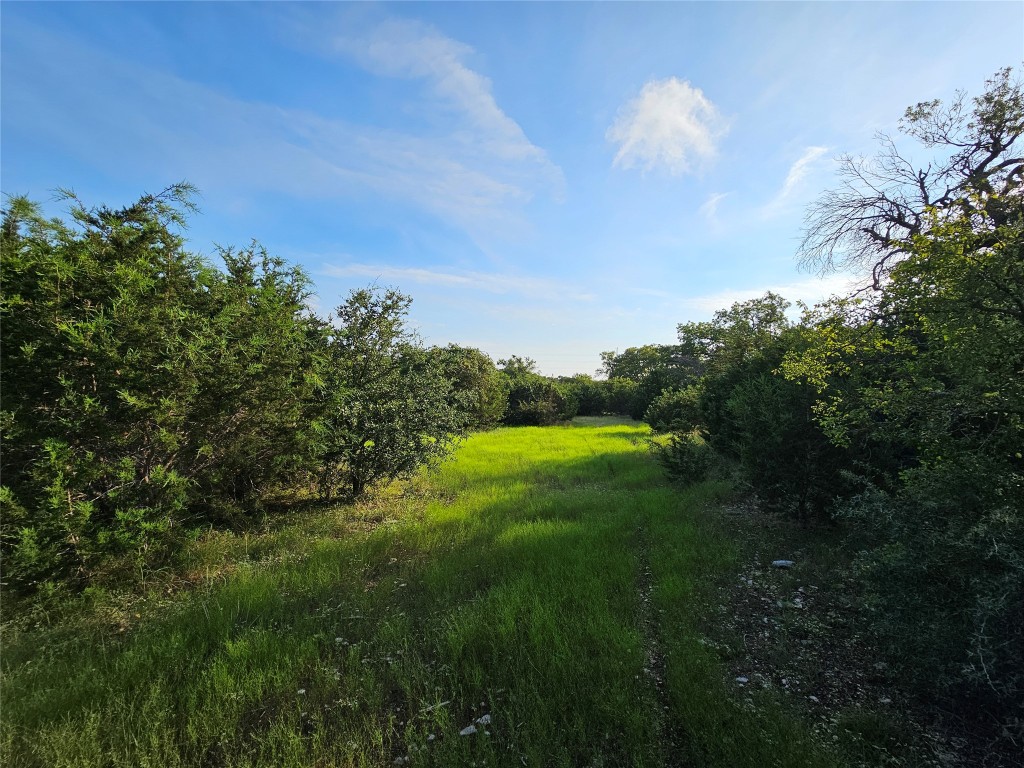 Lot 25 Riparian Elm Road Bertram, TX 78605 - Photo 3 of 21