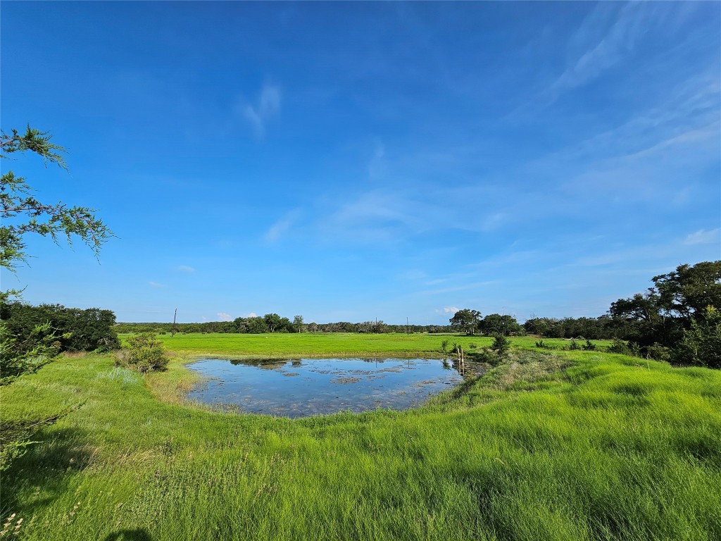 Lot 25 Riparian Elm Road Bertram, TX 78605 - Photo 6 of 21