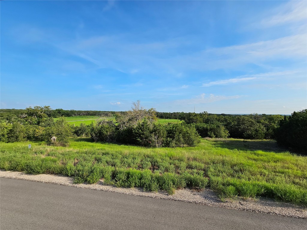 Lot 25 Riparian Elm Road Bertram, TX 78605 - Photo 8 of 21