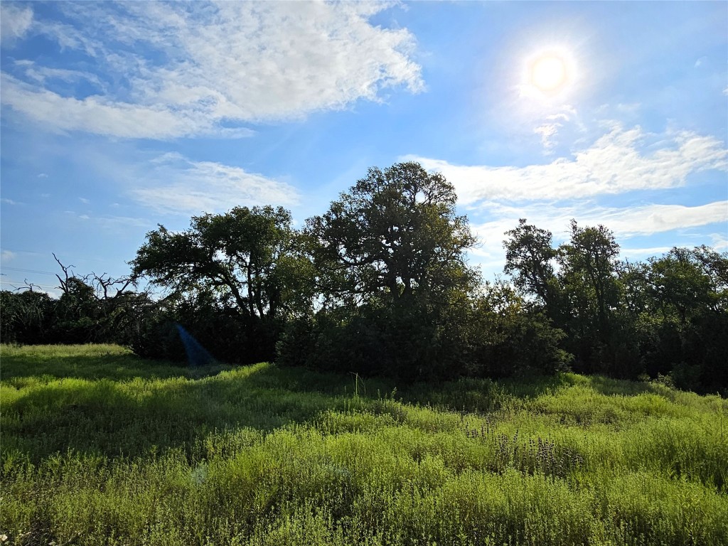 Lot 25 Riparian Elm Road Bertram, TX 78605 - Photo 9 of 21