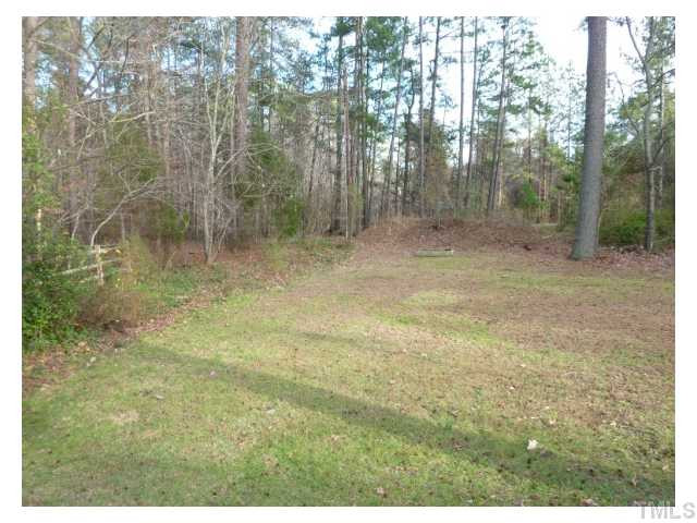 5407 Fortunes Ridge Drive Durham, NC 27713 - Photo 19 of 22 a view of a forest with trees in the background
