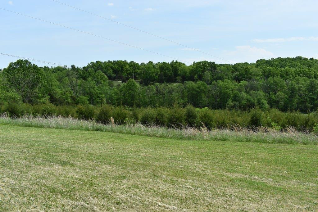 151 Snow Road Cynthiana, KY 41031 - Photo 33 of 40 Photo 33