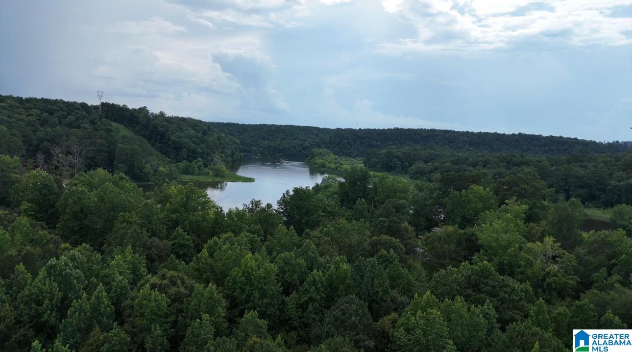 260 Buddy Vines Camp Road, Unit 2 Bessemer, AL 35023 - Photo 6 of 6