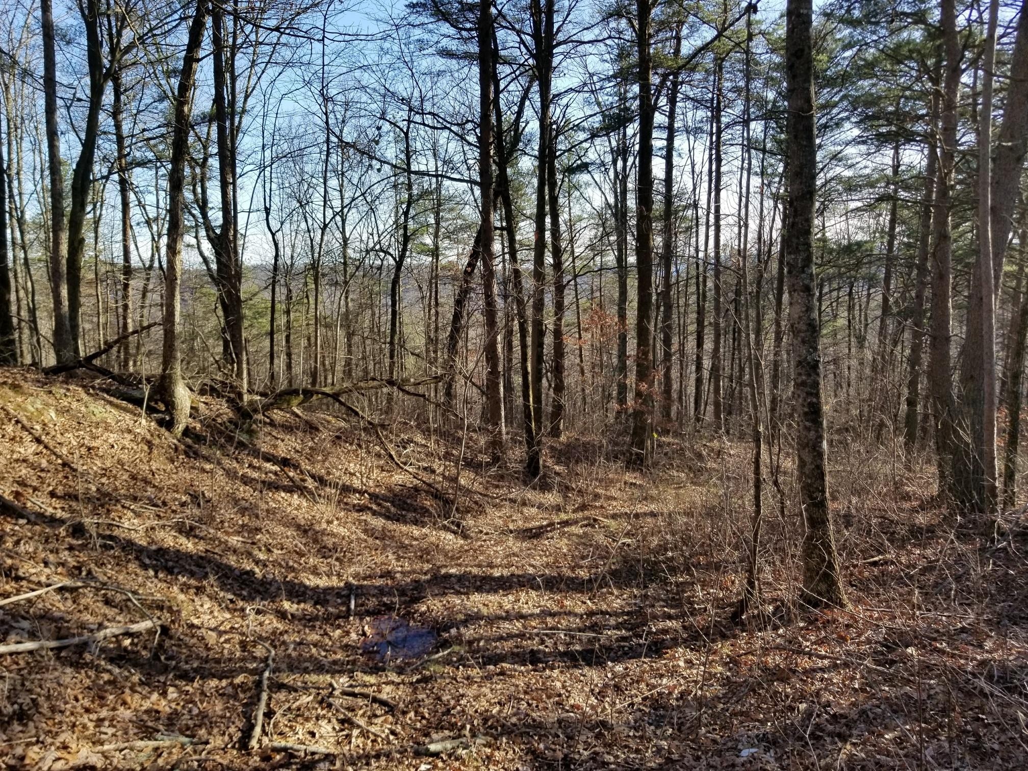 7403 Palmer Firetower Road Whitwell, TN 37397 - Photo 1 of 10 Gallery Image 1