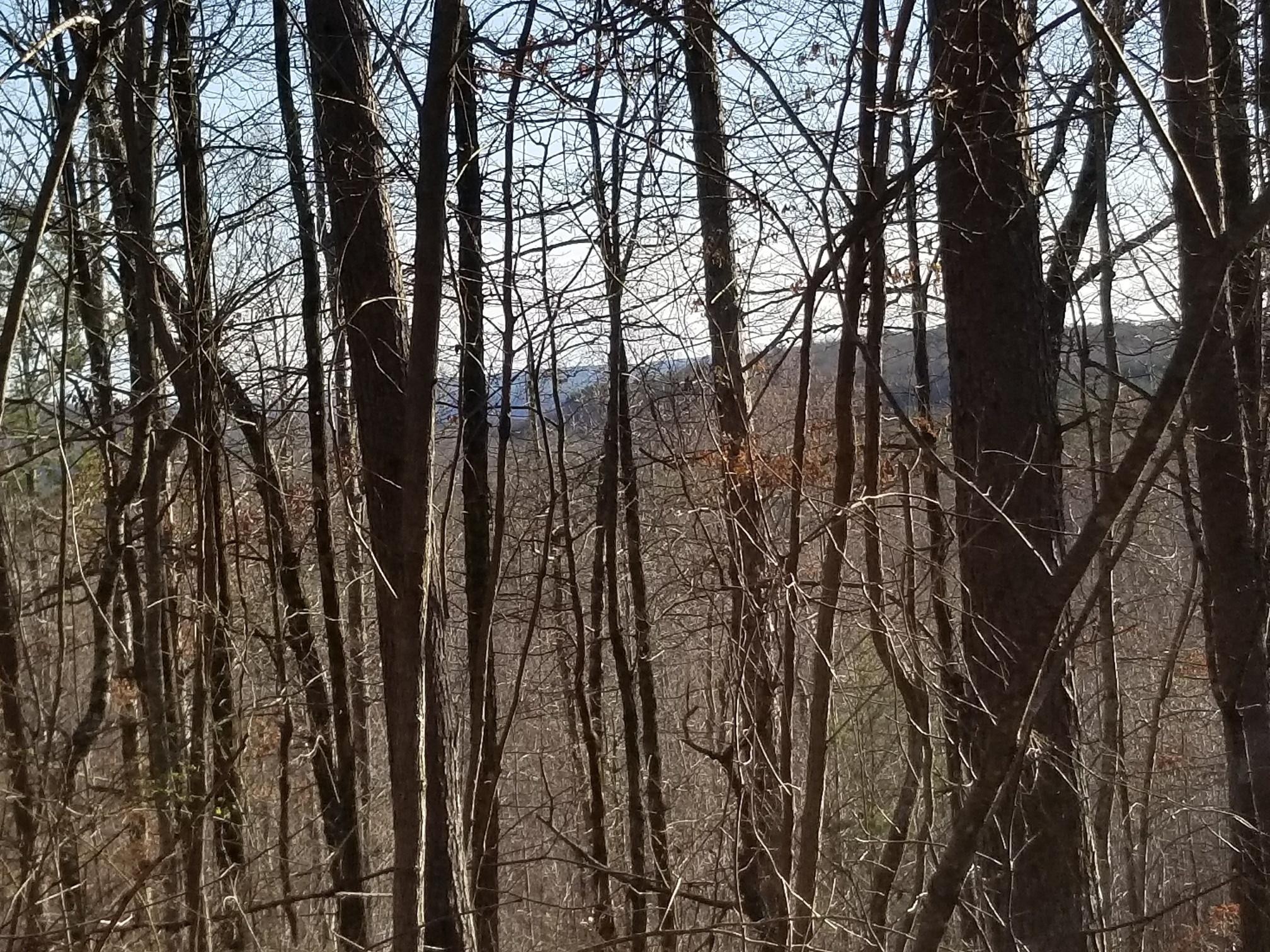 7403 Palmer Firetower Road Whitwell, TN 37397 - Photo 2 of 10 Gallery Image 2