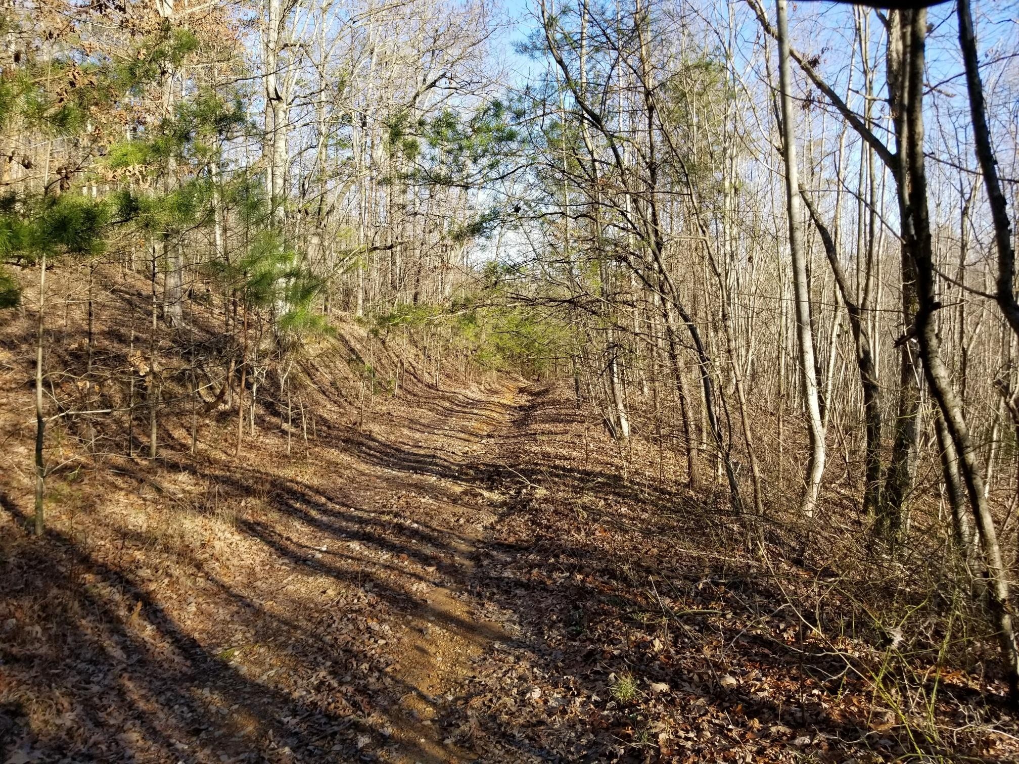7403 Palmer Firetower Road Whitwell, TN 37397 - Photo 7 of 10 Gallery Image 7