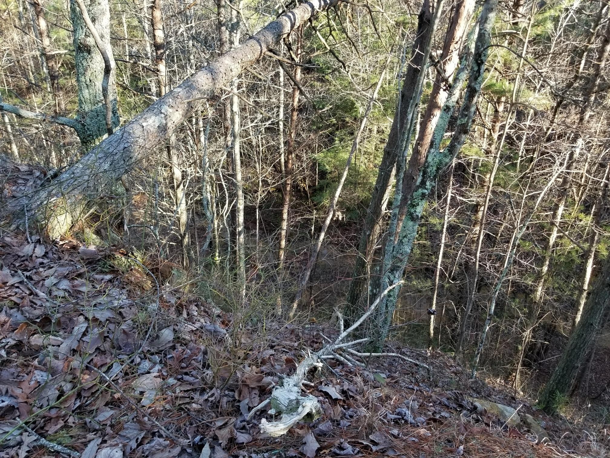 7403 Palmer Firetower Road Whitwell, TN 37397 - Photo 8 of 10 Gallery Image 8
