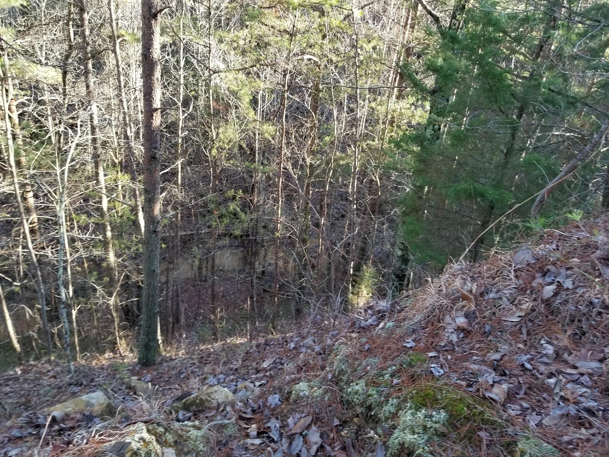 7403 Palmer Firetower Road Whitwell, TN 37397 - Photo 9 of 10 Gallery Image 9