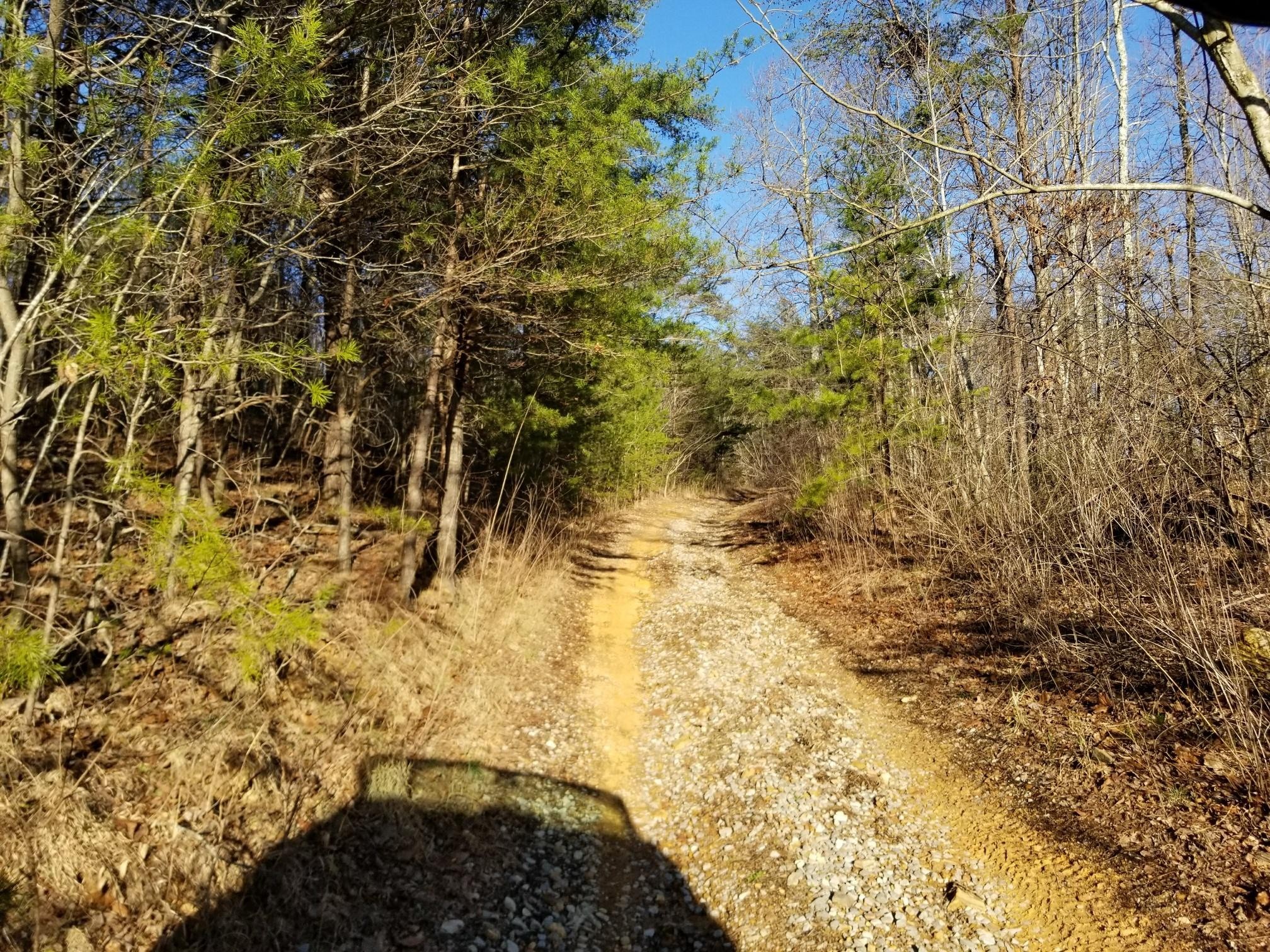 7403 Palmer Firetower Road Whitwell, TN 37397 - Photo 10 of 10 Gallery Image 10