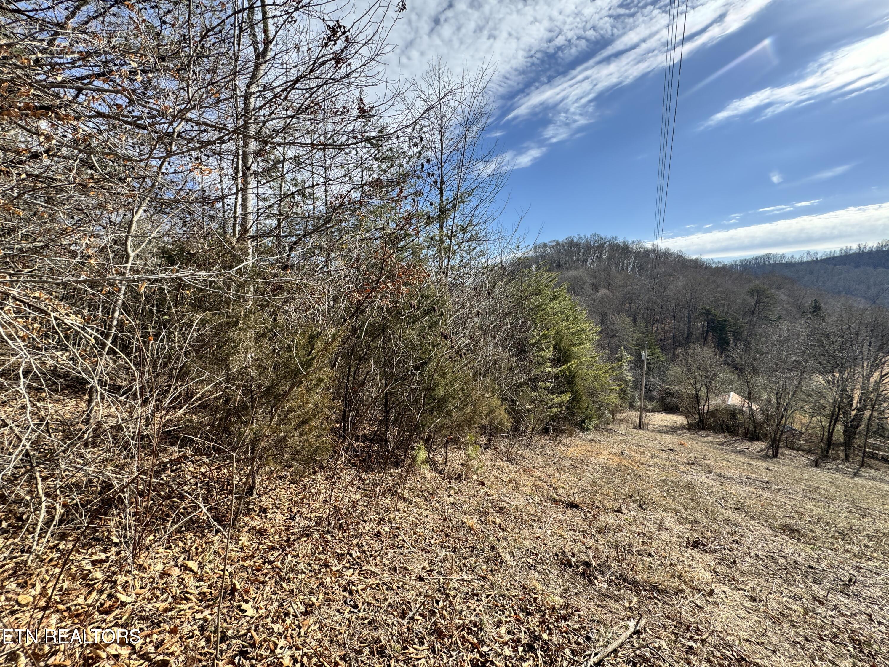 1135 Ned Clark Road Bean Station, TN 37708 - Photo 13 of 31 1135 Ned Clark Rd Bean Station, TN