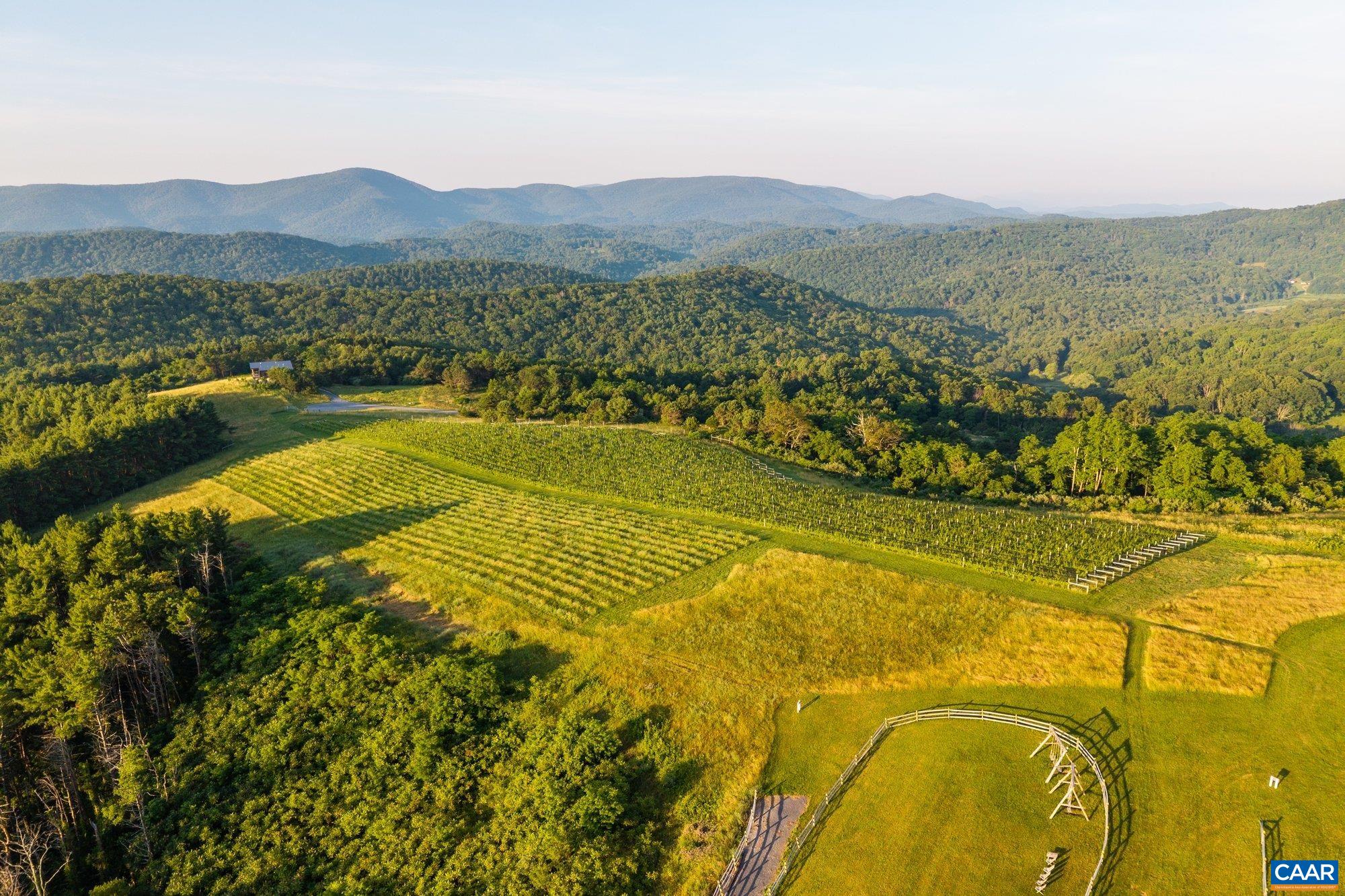 24981 Blue Rdg Parkway Vesuvius, VA 24483 - Photo 55 of 75