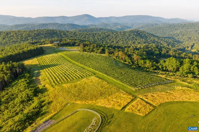 $9,950,000 | 24981 Blue Rdg Parkway, Vesuvius, VA 24483