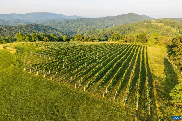 $9,950,000 | 24981 Blue Rdg Parkway, Vesuvius, VA 24483