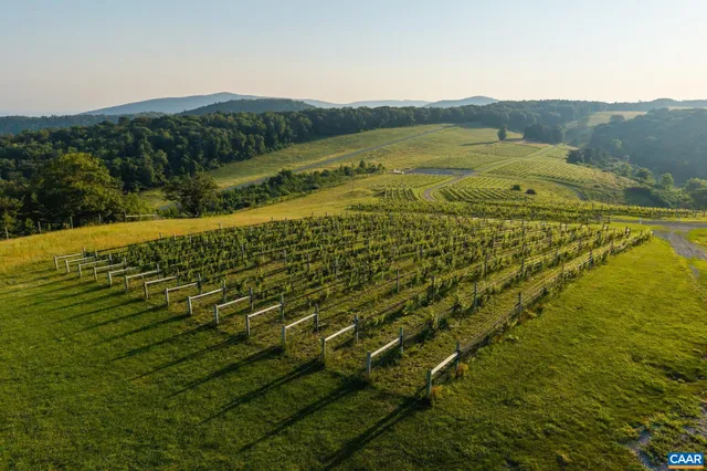 $9,950,000 | 24981 Blue Rdg Parkway, Vesuvius, VA 24483