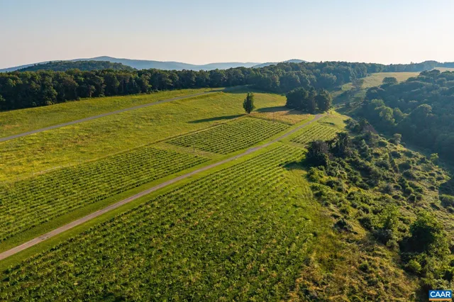 $9,950,000 | 24981 Blue Rdg Parkway, Vesuvius, VA 24483