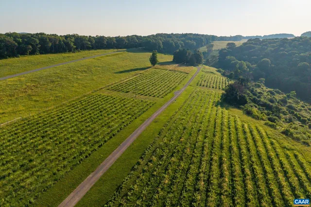 $9,950,000 | 24981 Blue Rdg Parkway, Vesuvius, VA 24483