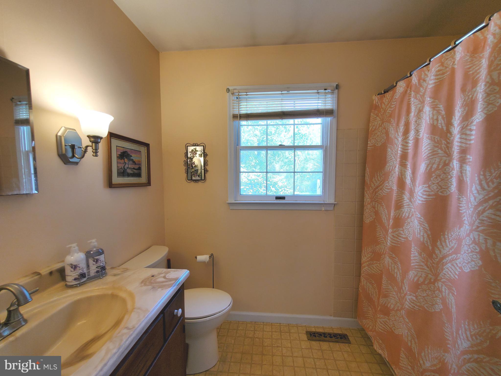 22075 Reynolds Pond Road Ellendale, DE 19941 - Photo 11 of 29 1st Floor Primary Full Bath