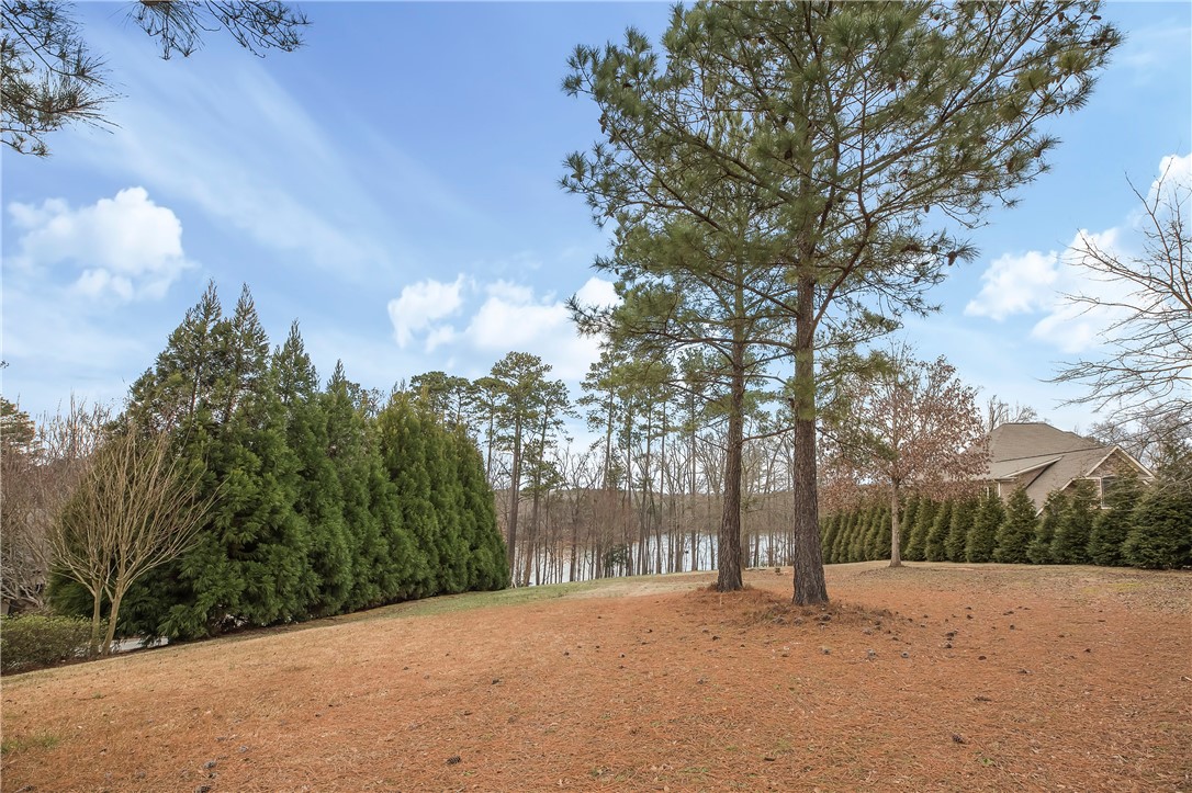 405 Beamer Drive Anderson, SC 29621 - Photo 5 of 19 Gallery Image 5