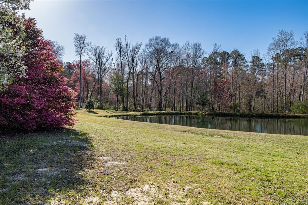 263 Greenville Road Warrenville, SC 29851 - Photo 3 of 42