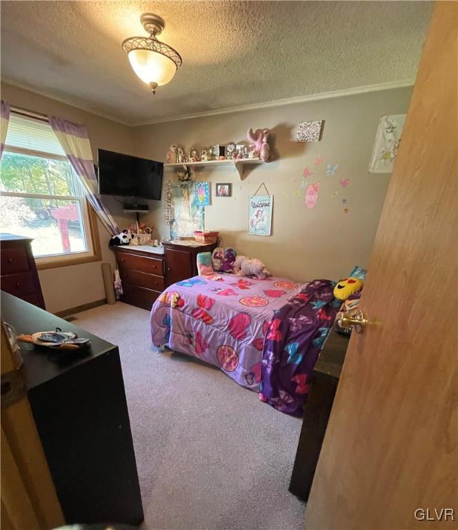 147 Tilly Lane Effort, PA 18330 - Photo 23 of 48 a bedroom with furniture and a flat screen tv