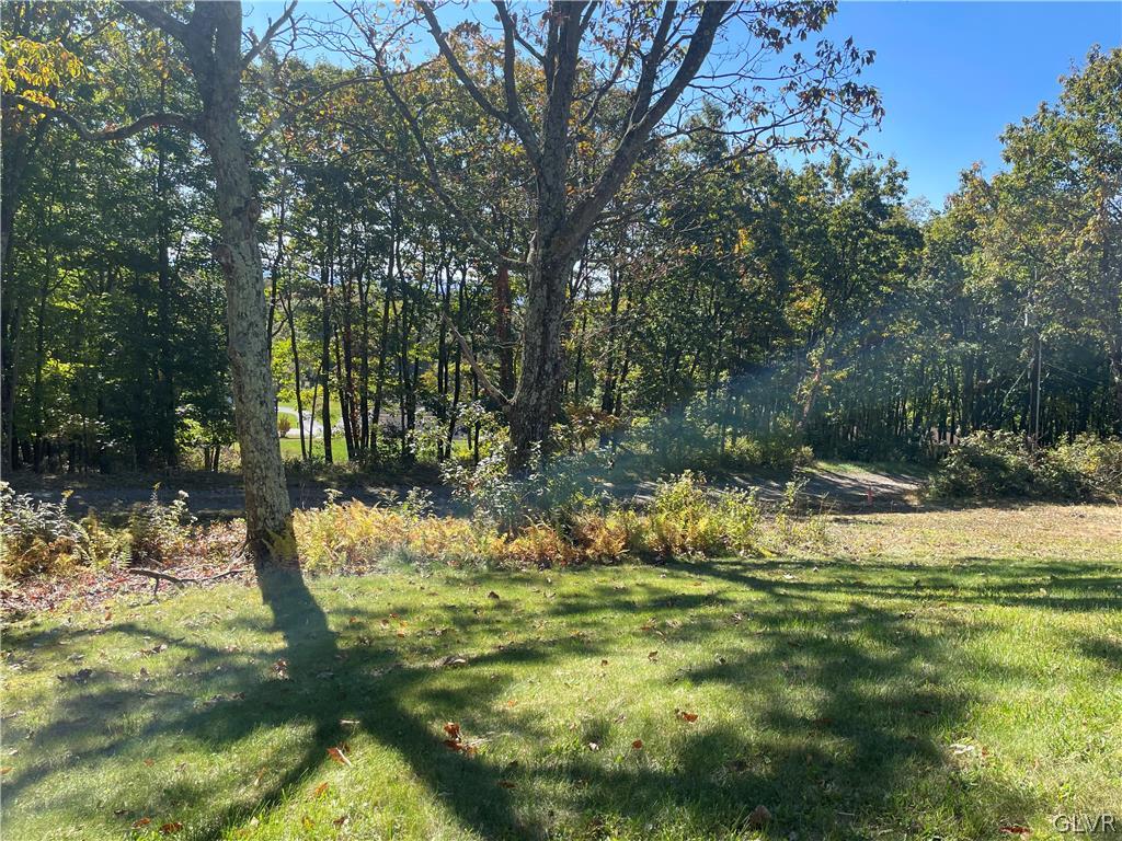 147 Tilly Lane Effort, PA 18330 - Photo 5 of 48 a view of a yard with large trees