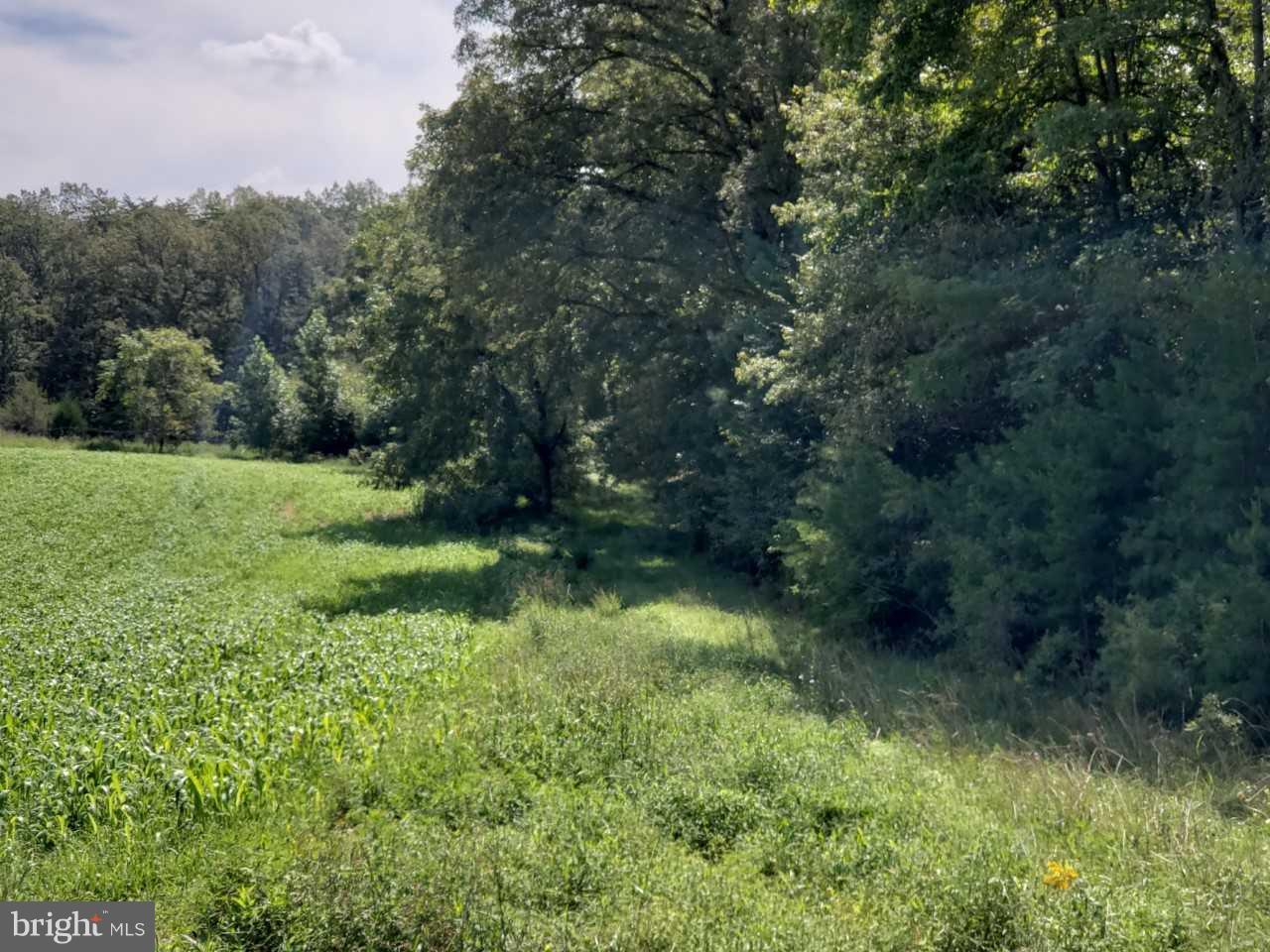 Horseshoe Road Orange, VA 22960 - Photo 1 of 16 View