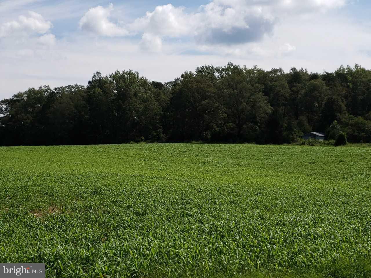 Horseshoe Road Orange, VA 22960 - Photo 2 of 16 View