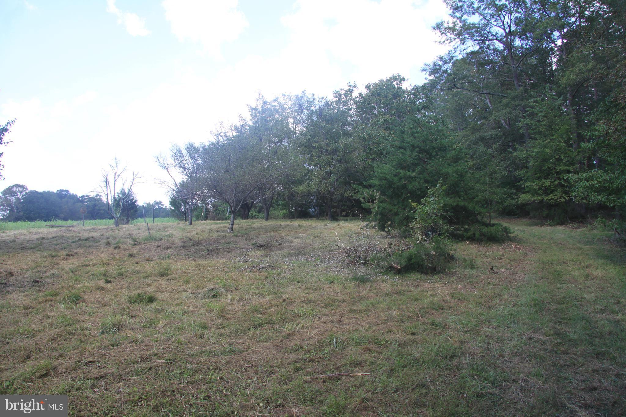 Horseshoe Road Orange, VA 22960 - Photo 11 of 16 View