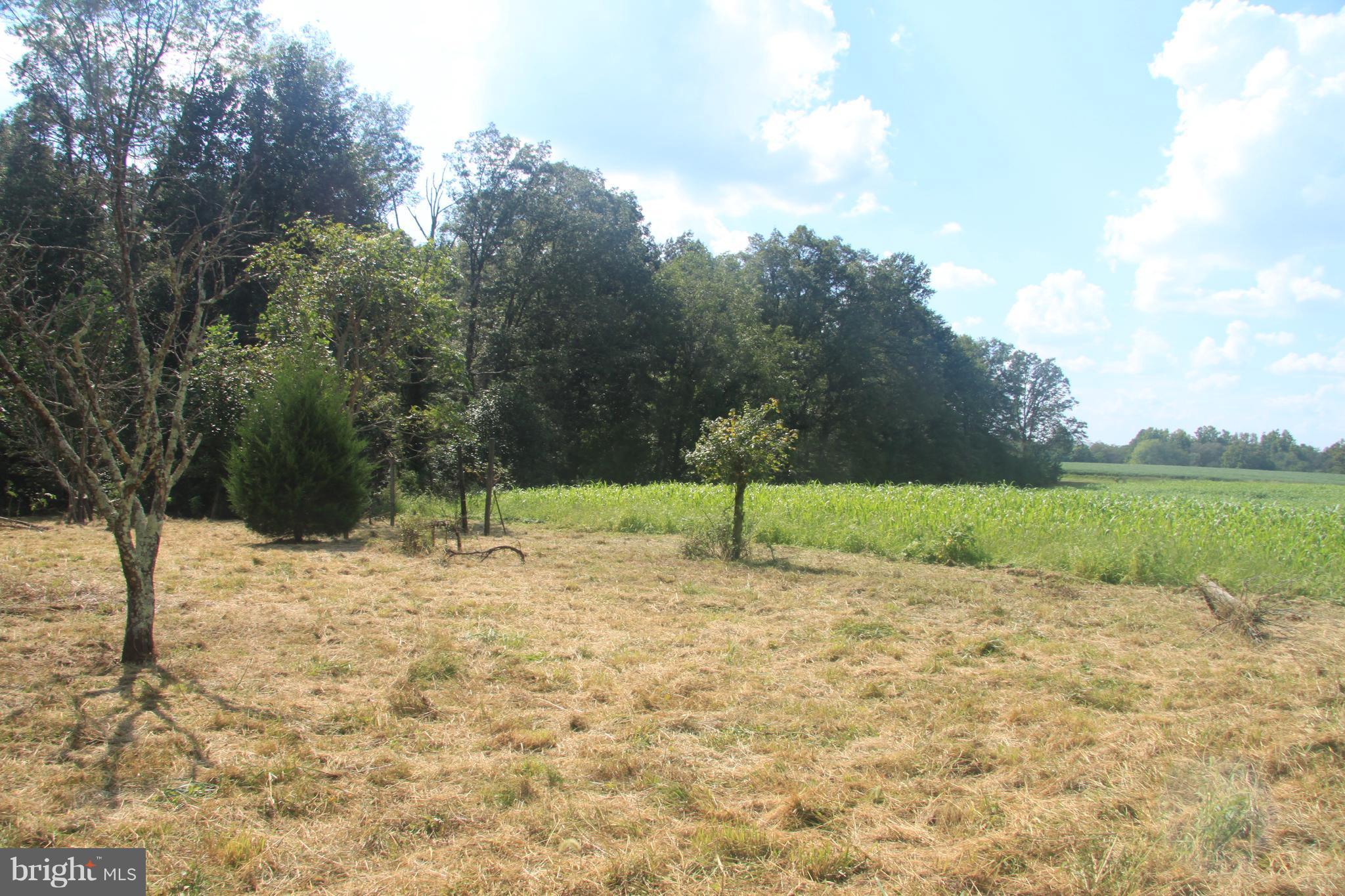 Horseshoe Road Orange, VA 22960 - Photo 12 of 16 View