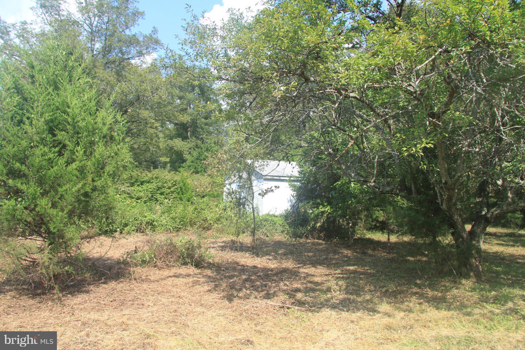 Horseshoe Road Orange, VA 22960 - Photo 13 of 16 View