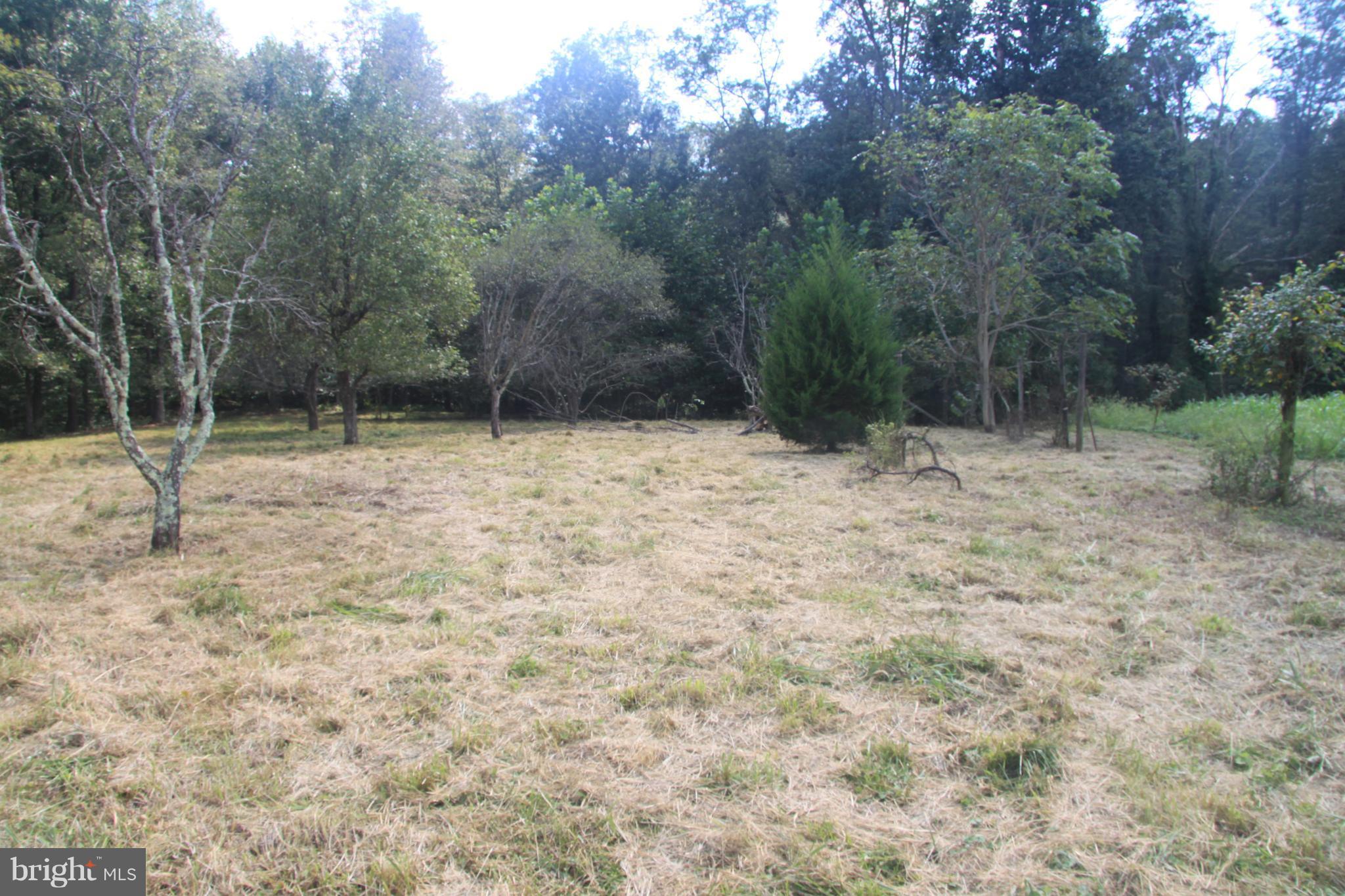 Horseshoe Road Orange, VA 22960 - Photo 14 of 16 View