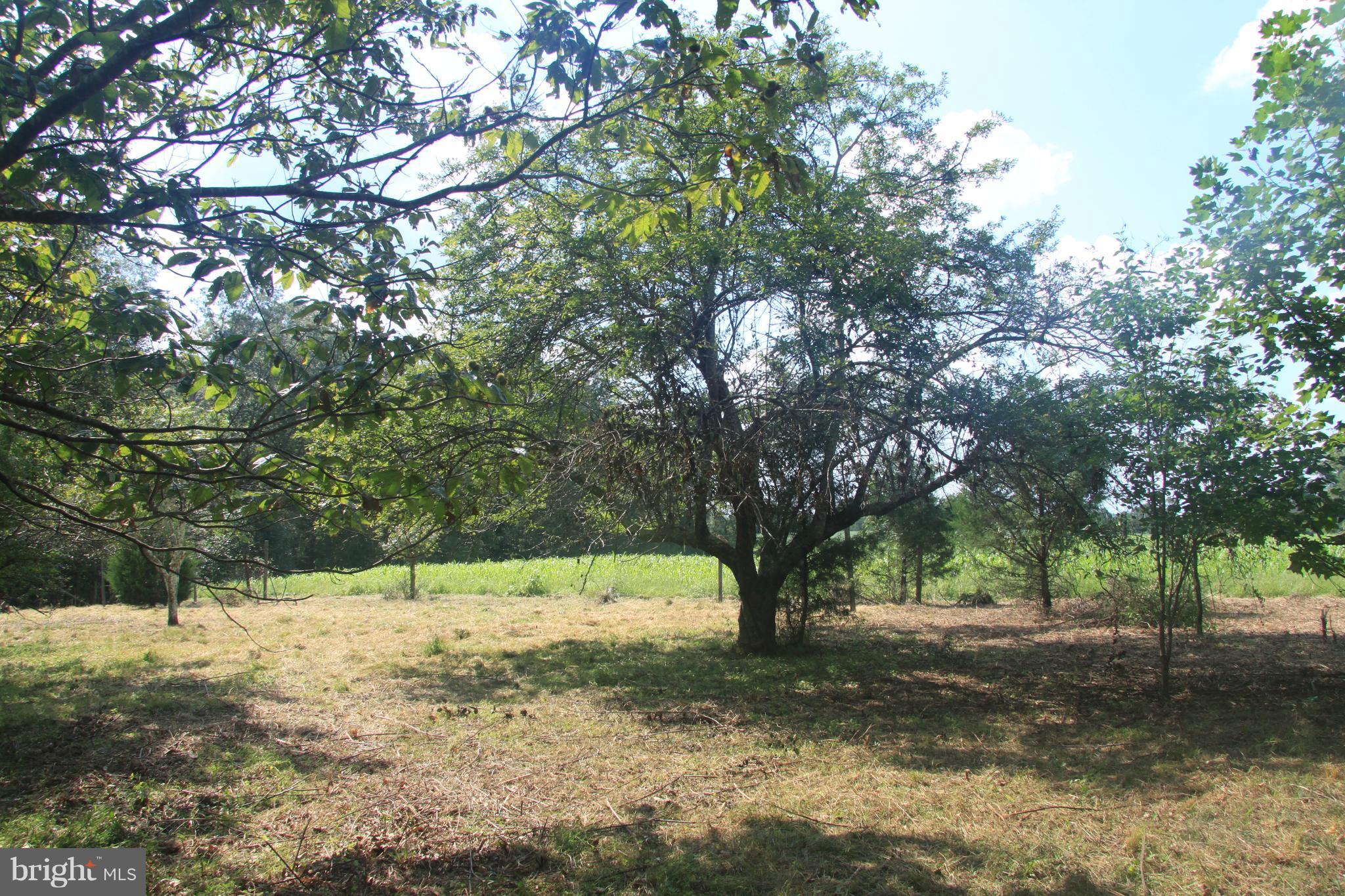 Horseshoe Road Orange, VA 22960 - Photo 15 of 16 View