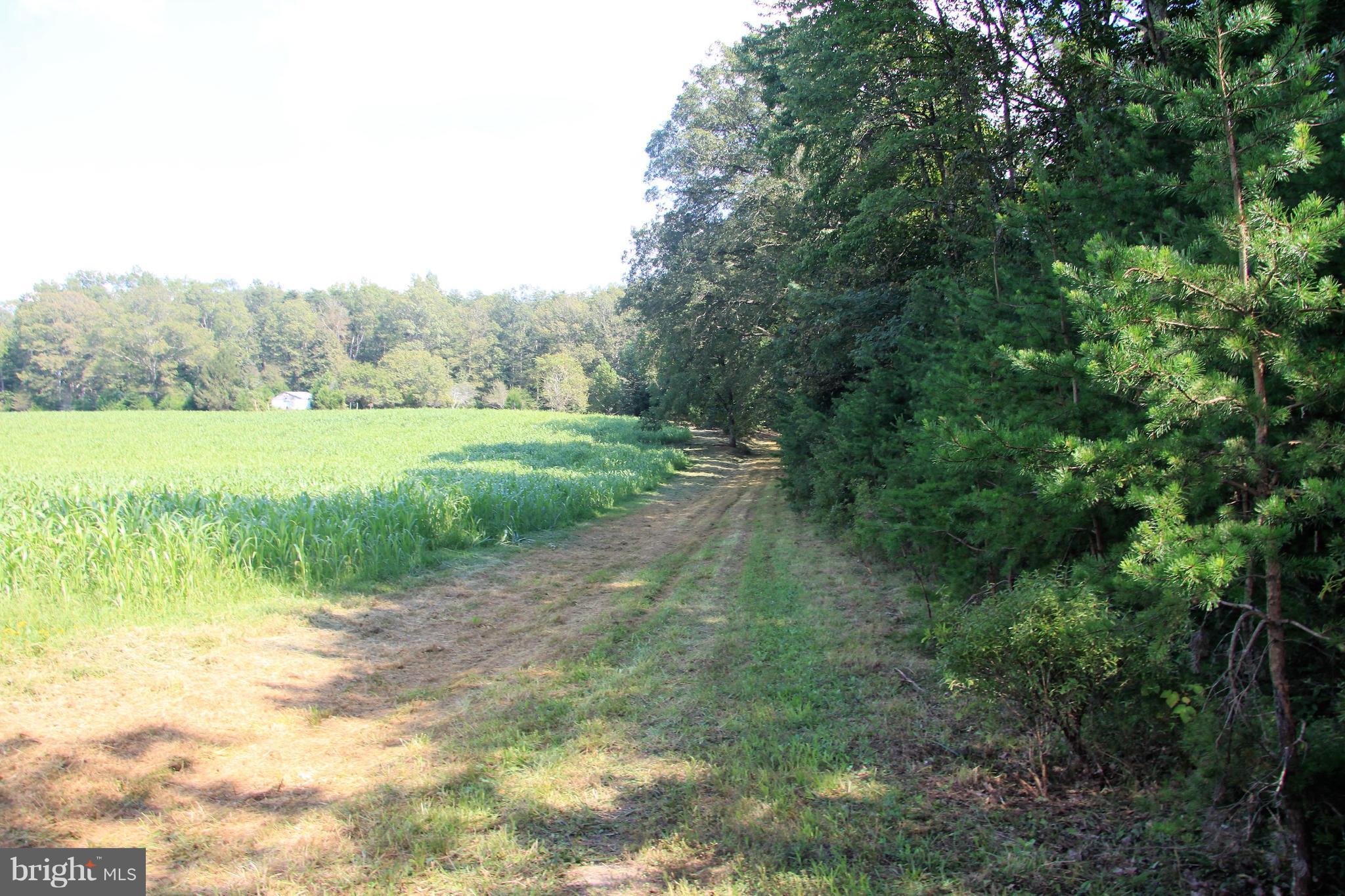 Horseshoe Road Orange, VA 22960 - Photo 3 of 16 Access