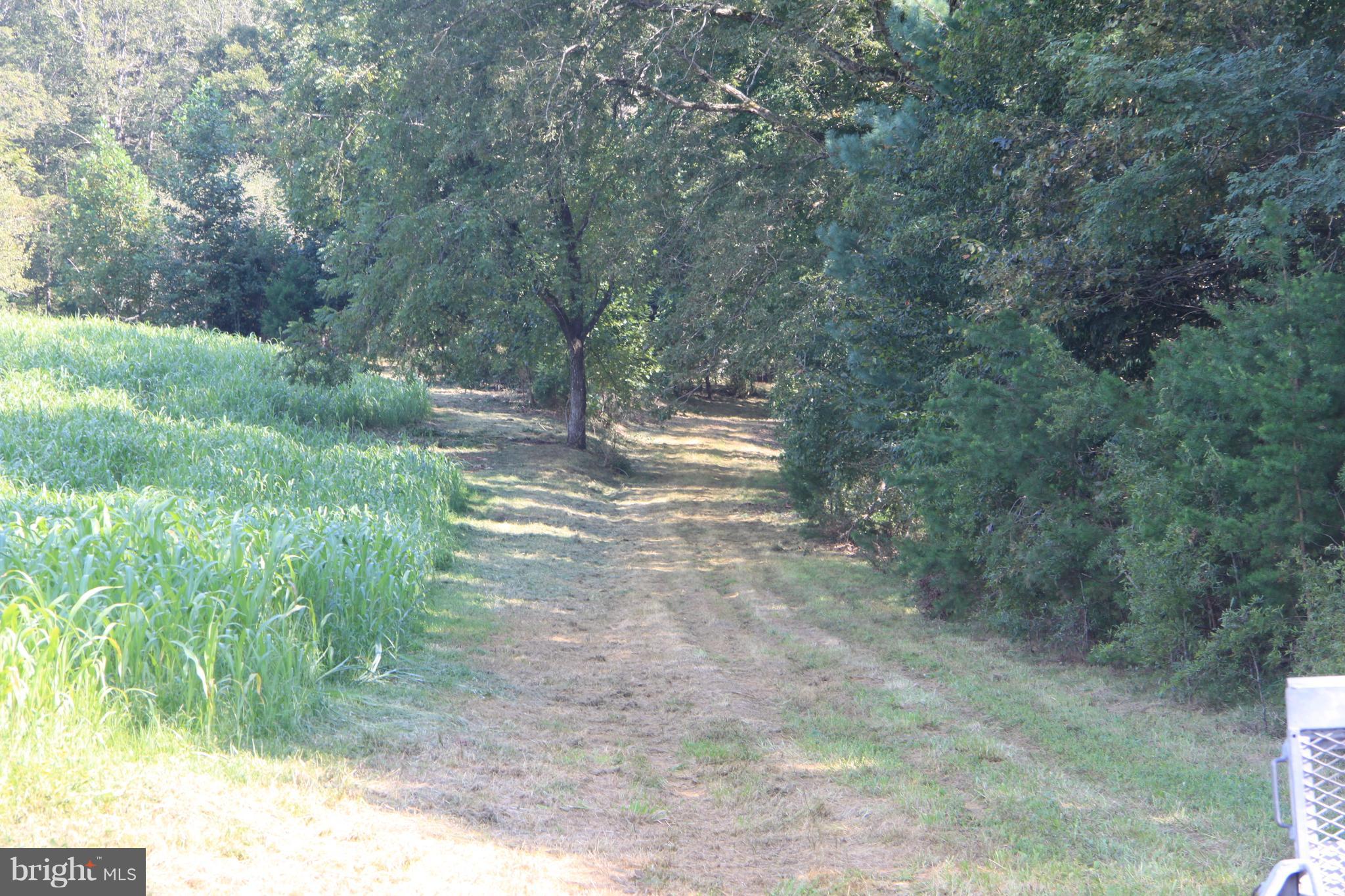 Horseshoe Road Orange, VA 22960 - Photo 4 of 16 View