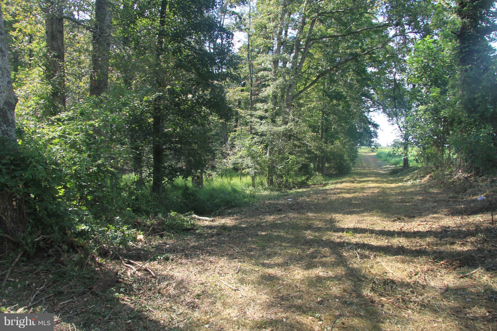 Horseshoe Road Orange, VA 22960 - Photo 5 of 16 View